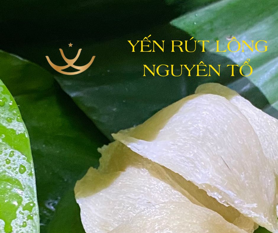 YEN RUT LONG NGUYEN TO LA GI