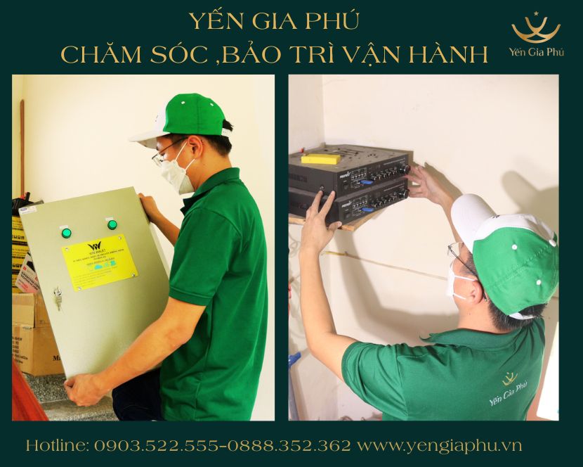 cham soc bao tri van hanh